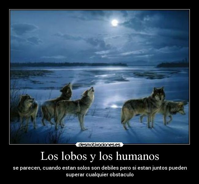 Los lobos y los humanos -