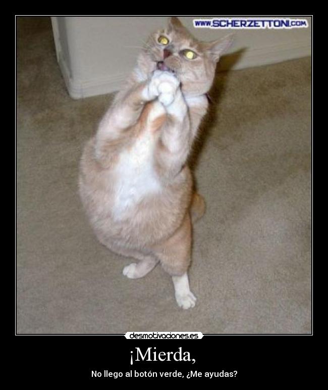 ¡Mierda, - No llego al botón verde, ¿Me ayudas?