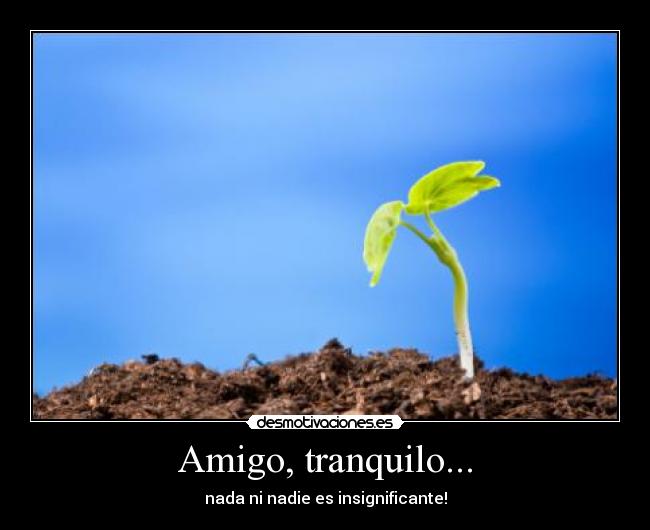 Amigo, tranquilo... - 