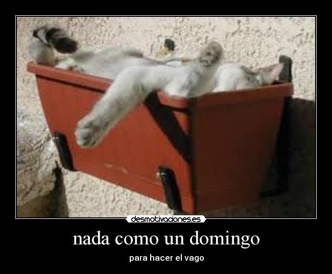nada como un domingo - para hacer el vago