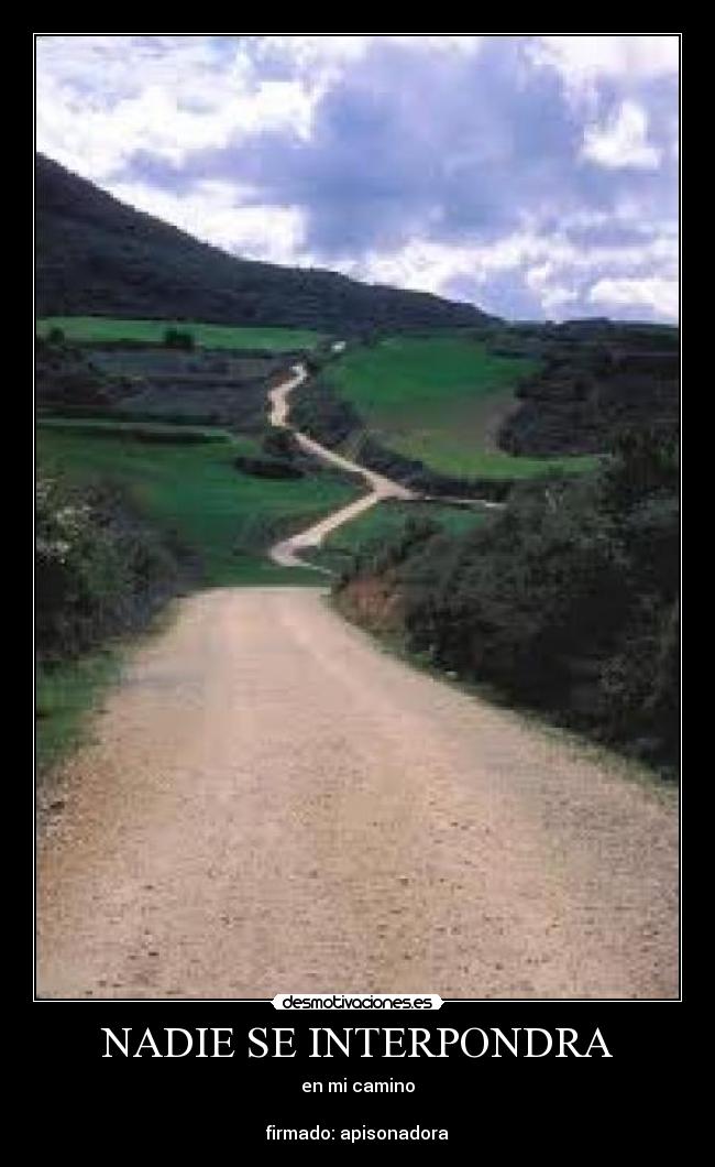 NADIE SE INTERPONDRA -