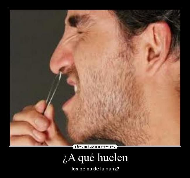 ¿A qué huelen - los pelos de la nariz?