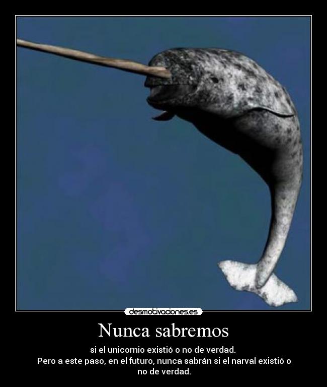 Nunca sabremos - si el unicornio existió o no de verdad.
Pero a este paso, en el futuro, nunca sabrán si el narval existió o no de verdad.