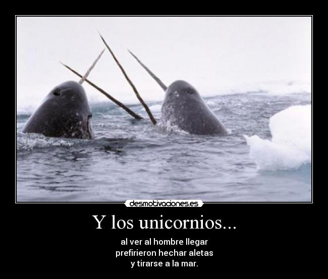 Y los unicornios... -