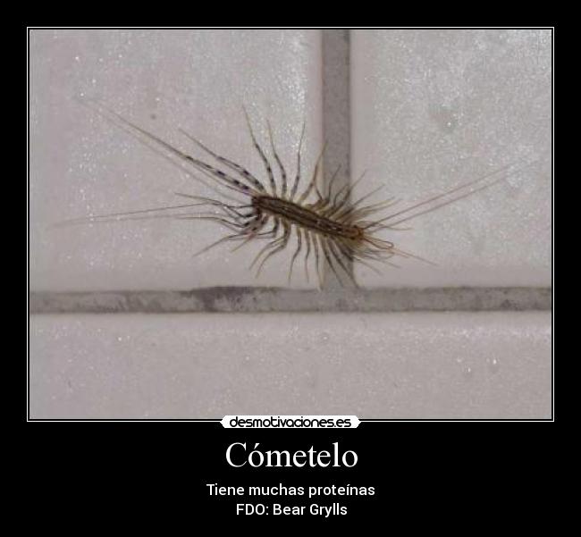 carteles cometelo desmotivaciones