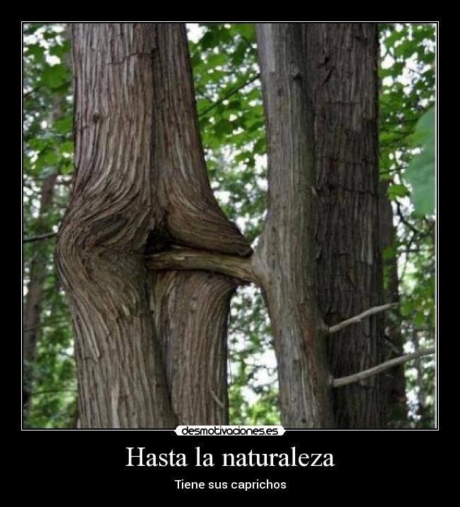 carteles naturaleza hasta naturaleza desmotivaciones