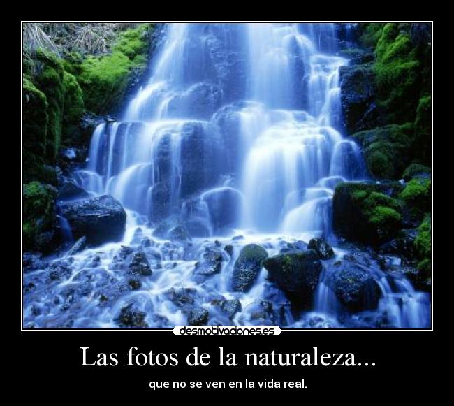 Las fotos de la naturaleza... -