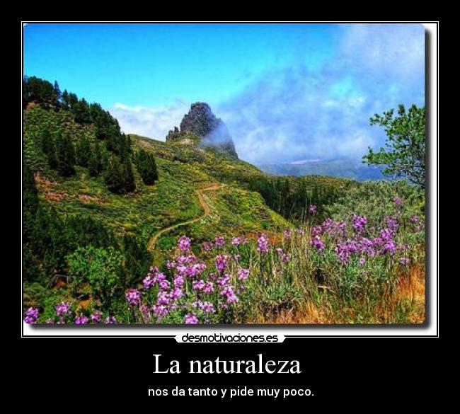 La naturaleza - nos da tanto y pide muy poco.