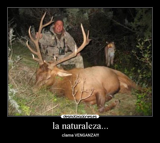 la naturaleza... - clama VENGANZA!!!