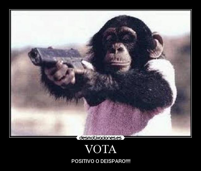 VOTA - POSITIVO O DEISPARO!!!!