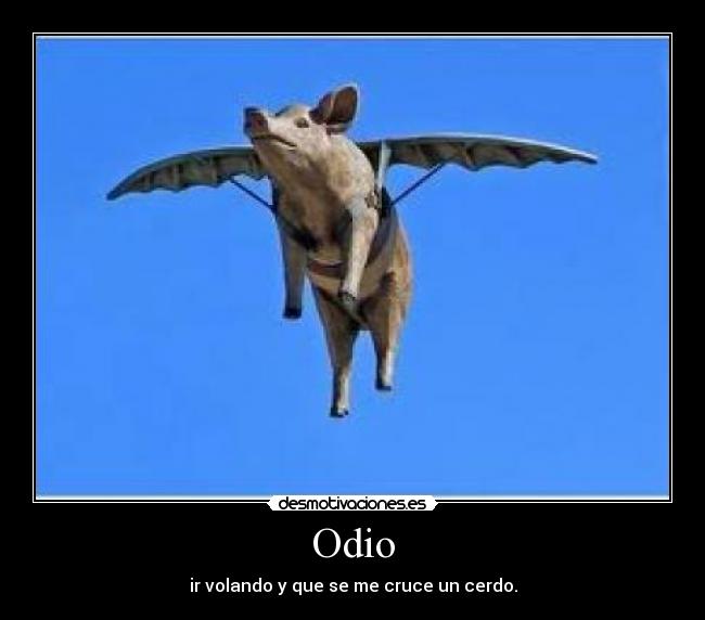 Odio - ir volando y que se me cruce un cerdo.