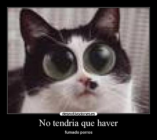 No tendria que haver - fumado porros