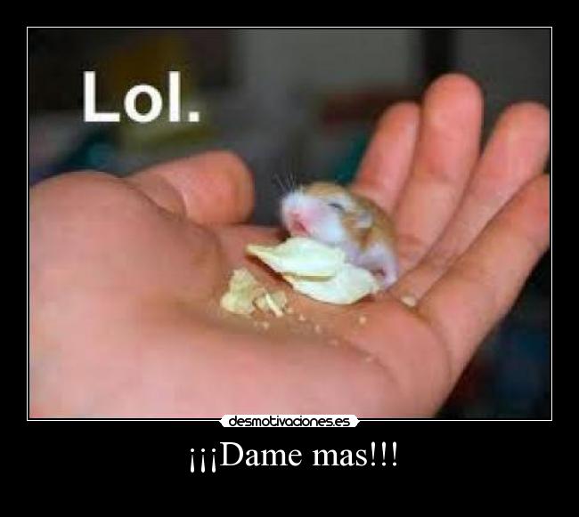 ¡¡¡Dame mas!!! - 