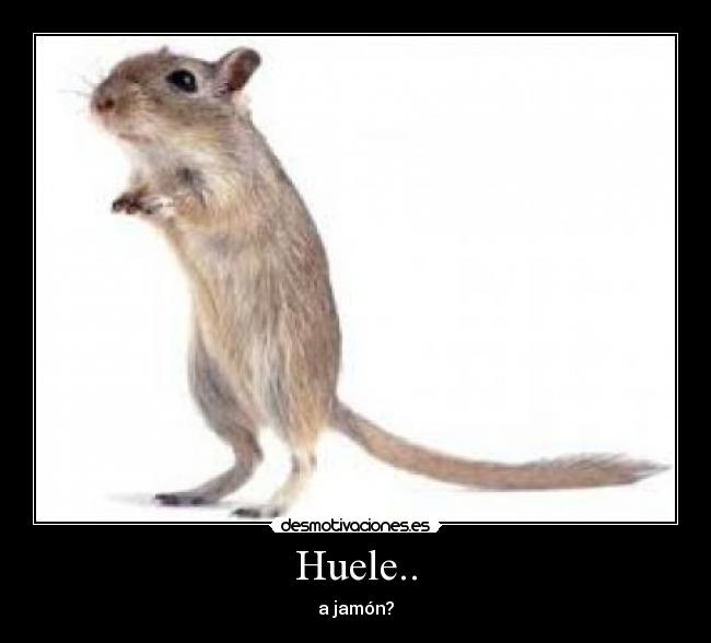 Huele.. - 