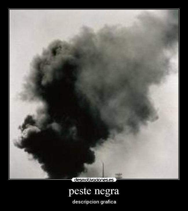 peste negra - descripcion grafica