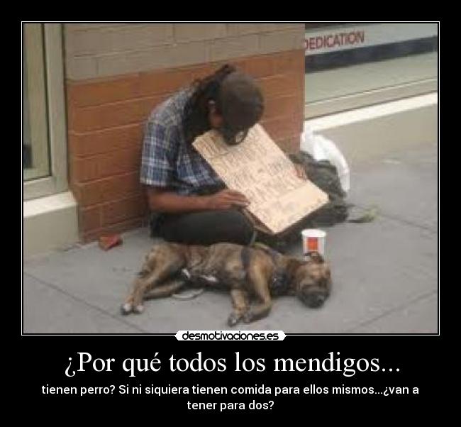 ¿Por qué todos los mendigos... - tienen perro? Si ni siquiera tienen comida para ellos mismos...¿van a
tener para dos?