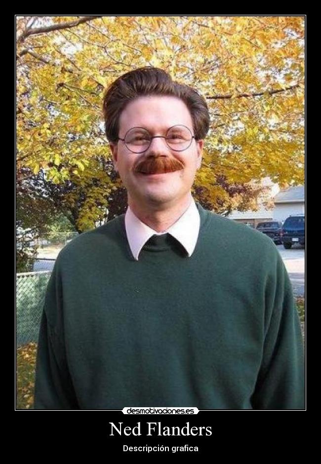 Ned Flanders - Descripción grafica