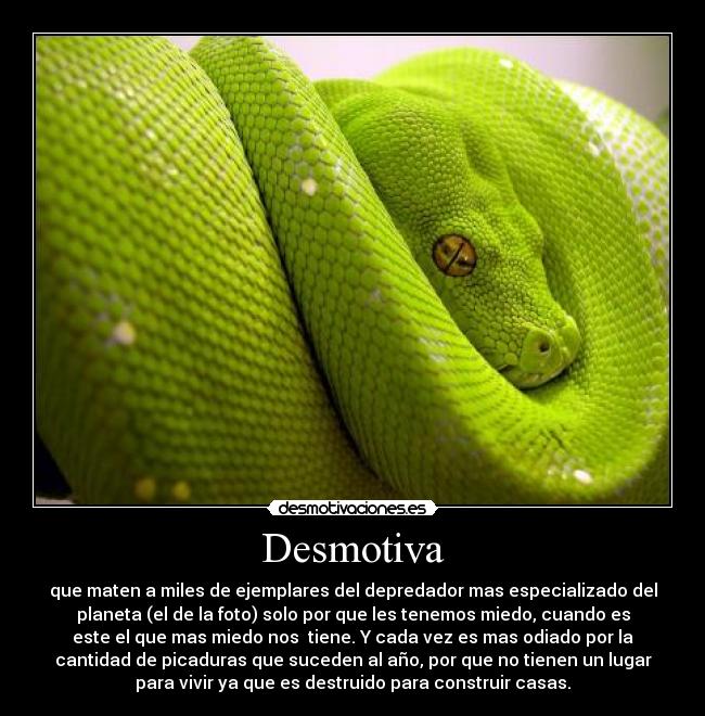 Desmotiva - 