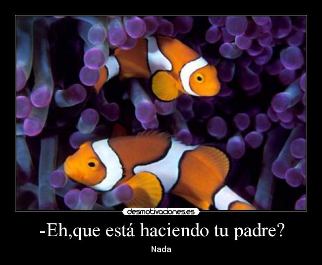 carteles padre nemo desmotivaciones