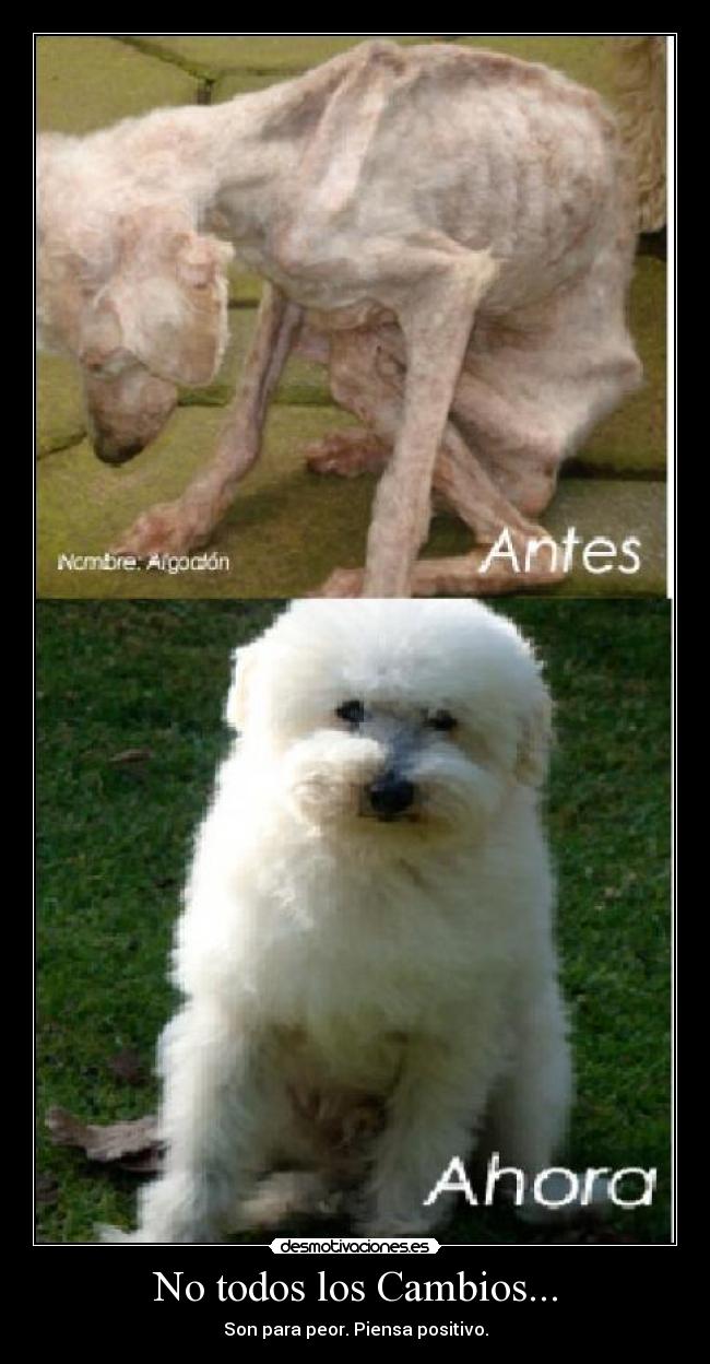 No todos los Cambios... - Son para peor. Piensa positivo.