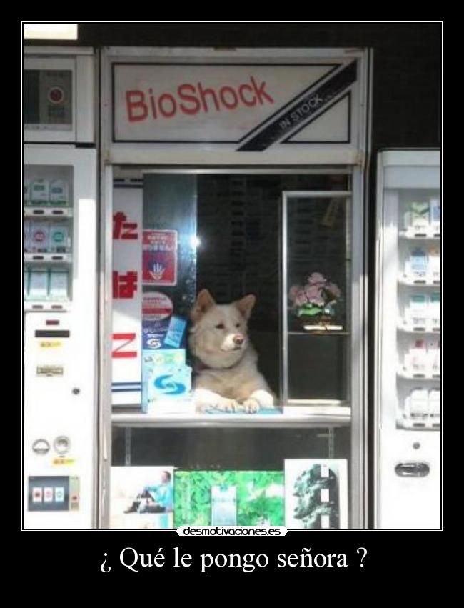 ¿ Qué le pongo señora ? - 