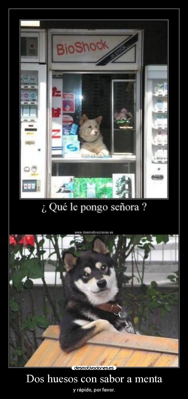 Dos huesos con sabor a menta -