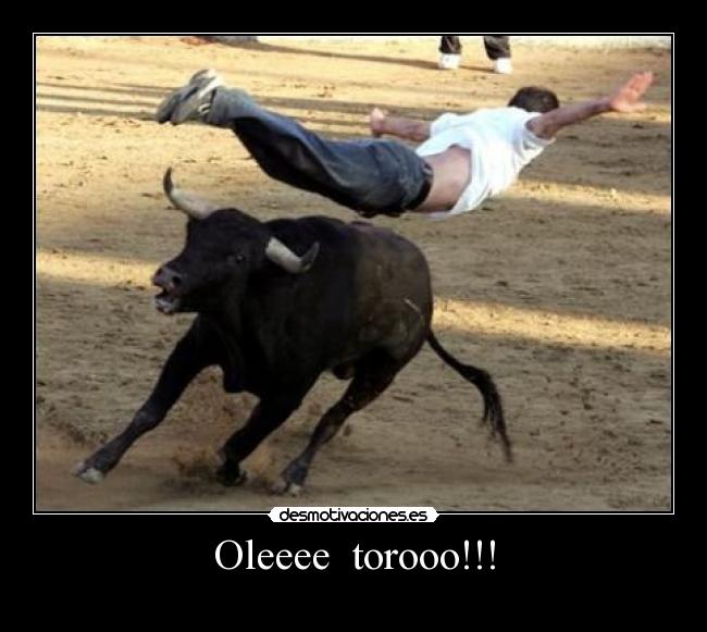 Oleeee torooo!!! -