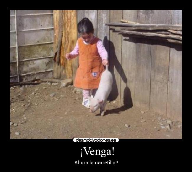 ¡Venga! - Ahora la carretilla!!