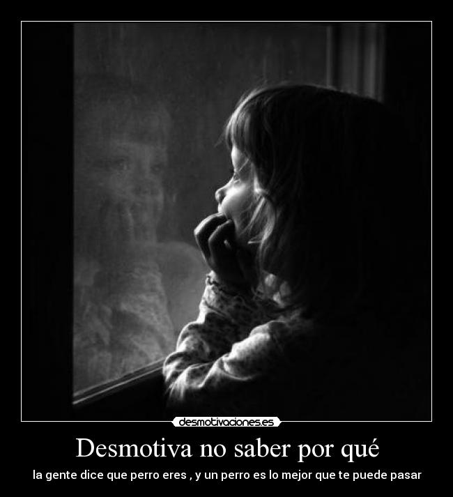 Desmotiva no saber por qué - la gente dice que perro eres , y un perro es lo mejor que te puede pasar