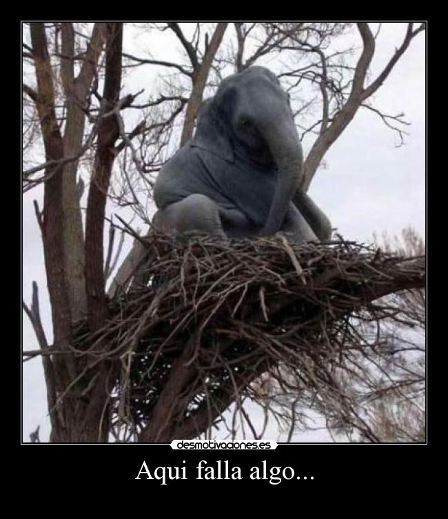 Aqui falla algo... -