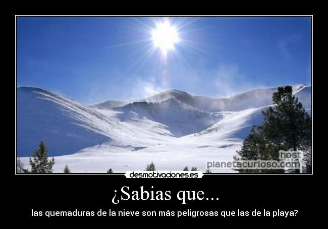 ¿Sabias que... -
