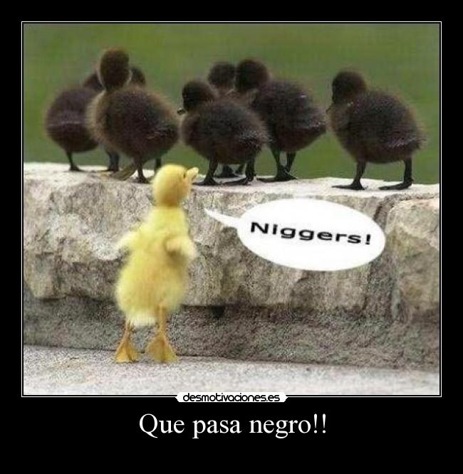 Que pasa negro!! -