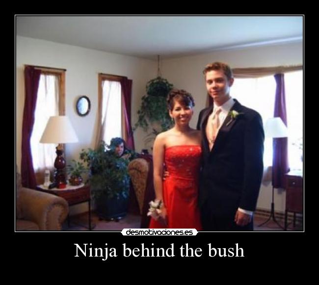 Ninja behind the bush - 