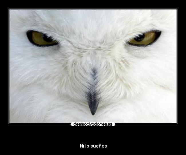 carteles desmotivaciones