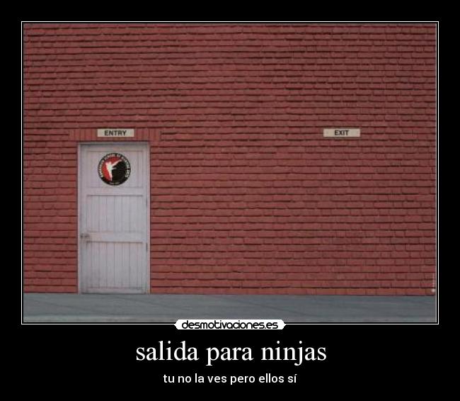 salida para ninjas - 