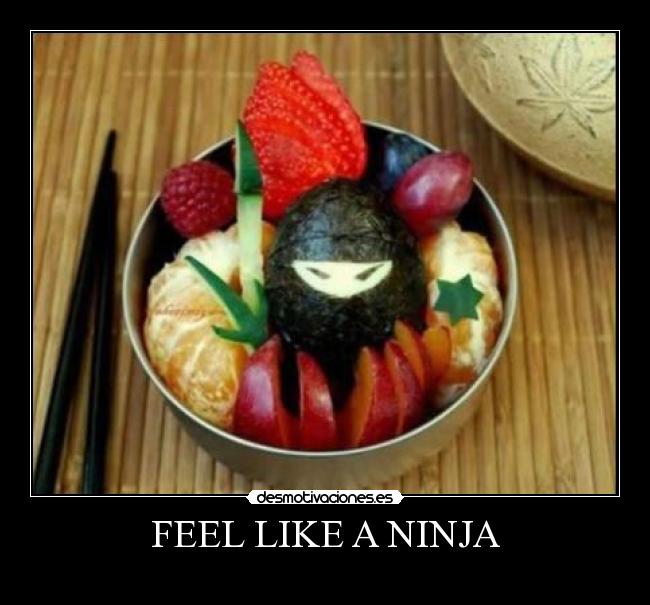 carteles gato desmotivaciones