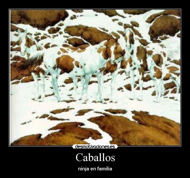 Caballos -