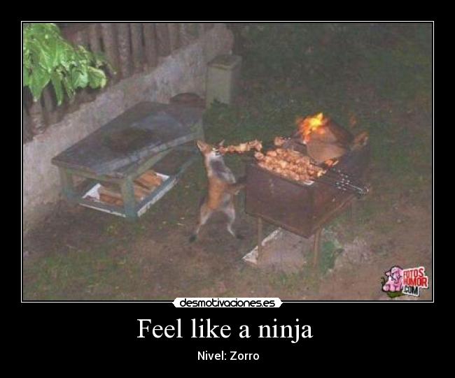 Feel like a ninja - Nivel: Zorro