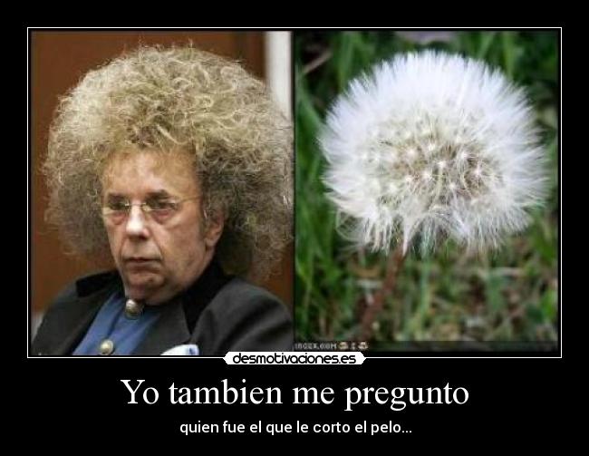 Yo tambien me pregunto -