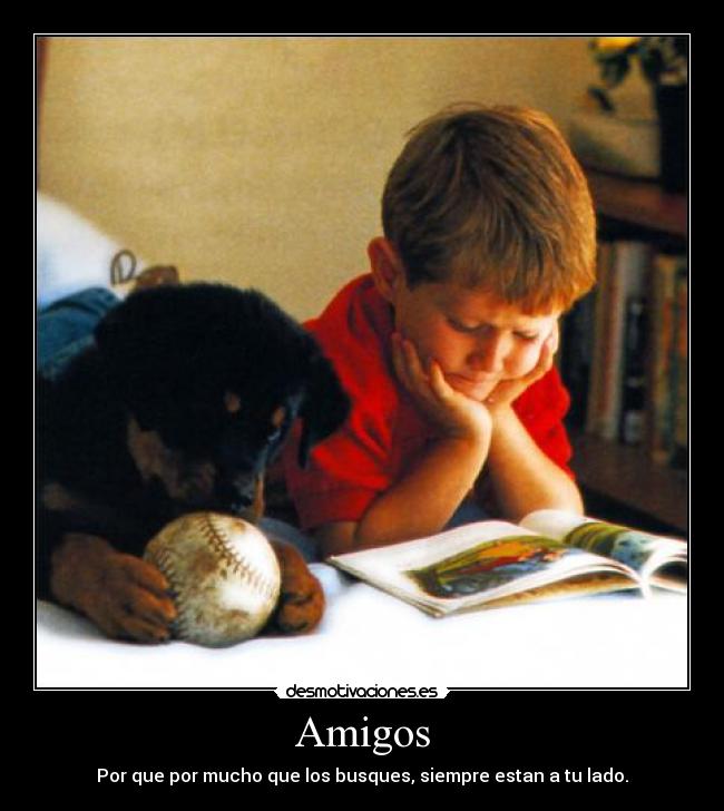 Amigos - 