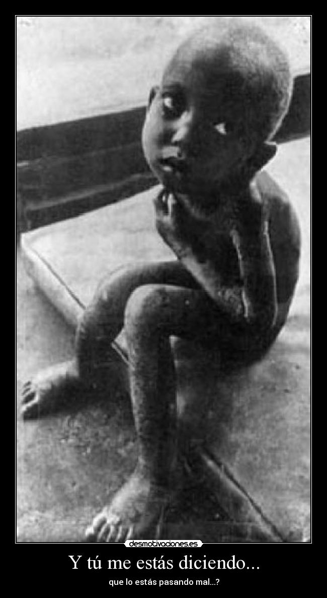 Y tú me estás diciendo... - 