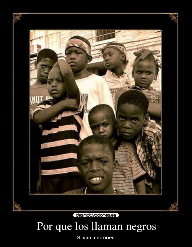 Por que los llaman negros - Si son marrones.