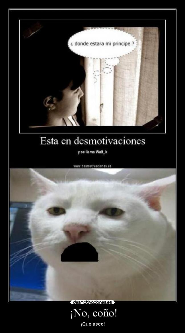 ¡No, coño! - ¡Que asco!