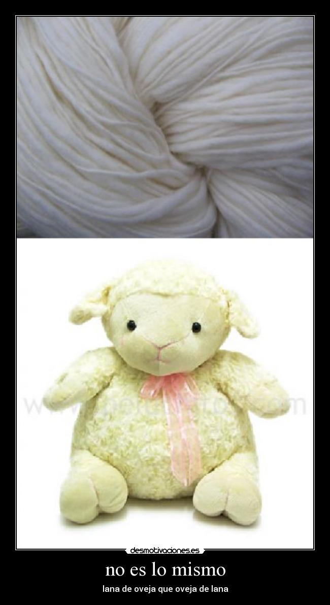 no es lo mismo - lana de oveja que oveja de lana