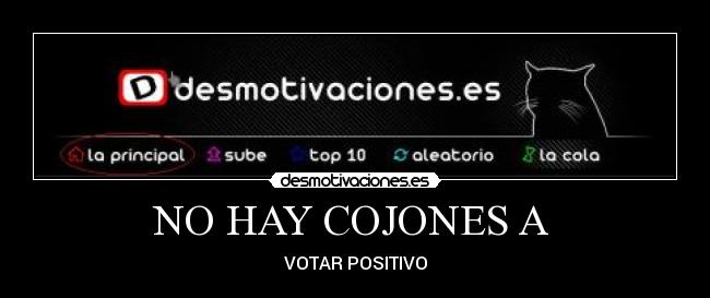 NO HAY COJONES A  - VOTAR POSITIVO