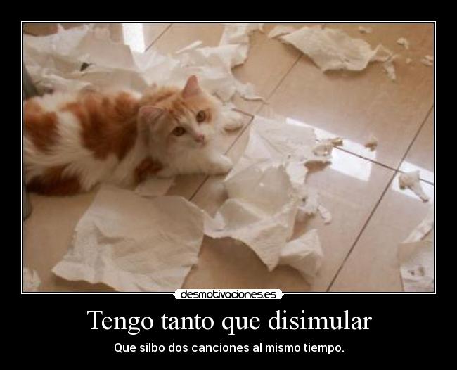 Tengo tanto que disimular - 