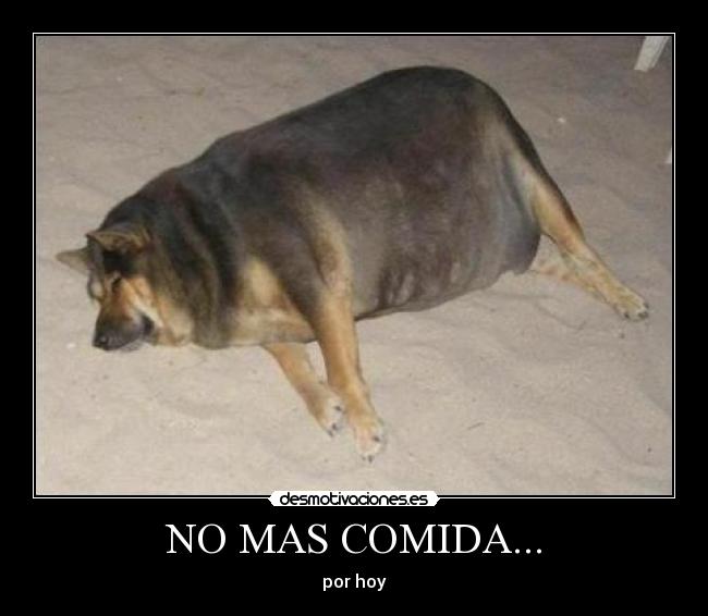 NO MAS COMIDA... - por hoy