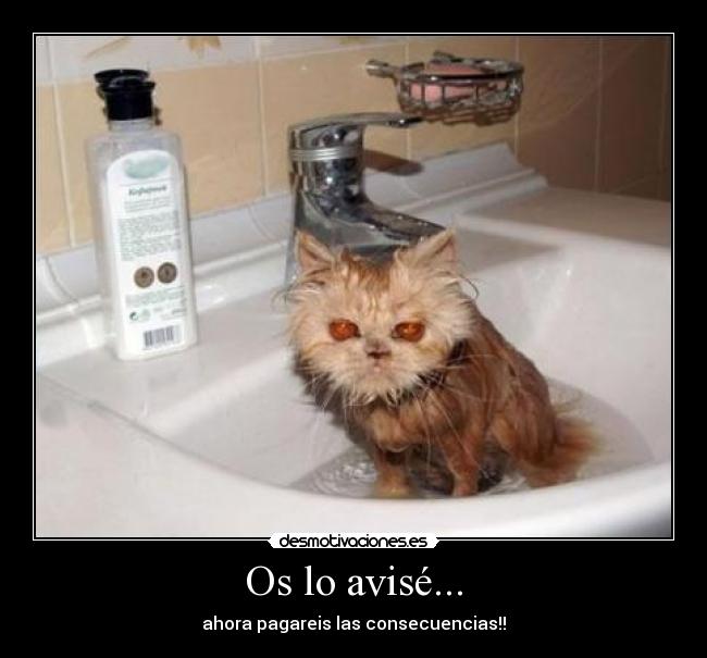 Os lo avisé... - ahora pagareis las consecuencias!!