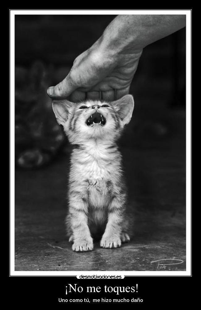 carteles toques desmotivaciones