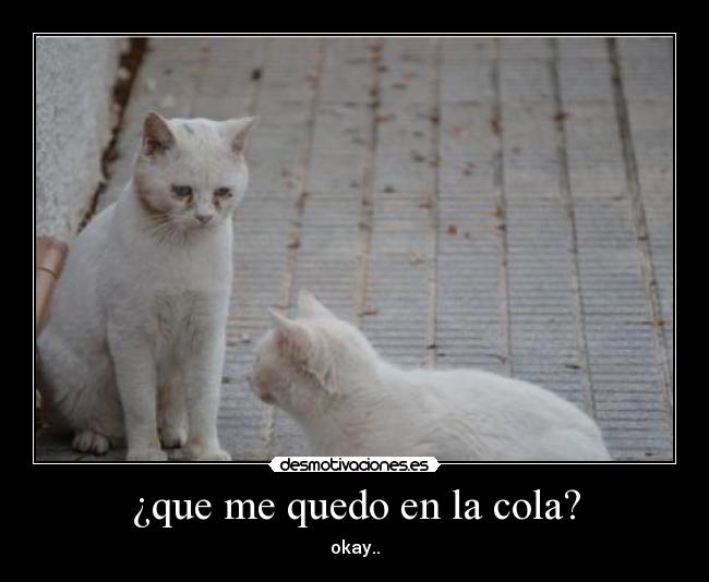¿que me quedo en la cola? - 